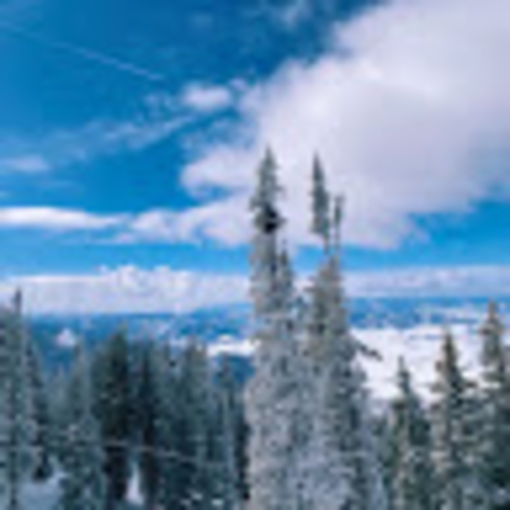 Meet your Posher, Holland